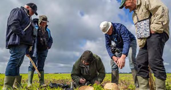 Coördinatie en ondersteuning Organisatie In Brabant vormen vrijwilligers de basis voor de weidevogelbescherming. Zij weten waar de vogels broeden en houden contact met de boeren.