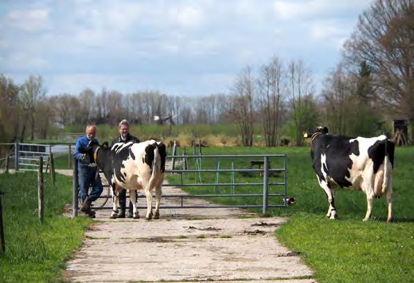 Vrijwillige weide- & akkervogelbescherming in Noord-Brabant Materiaal Voorafgaand aan het seizoen kunnen groepen aangeven welke materialen ze in welke hoeveelheid nodig hebben om het beschermingswerk