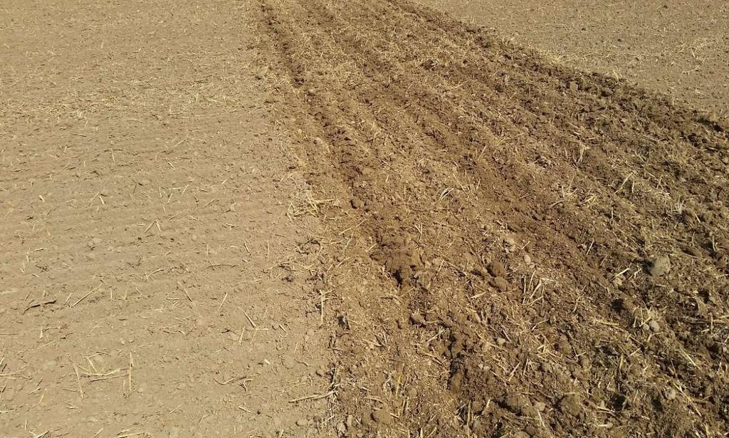 Een vaak gehoord nadeel van niet-kerende bodembewerking is dat in het voorjaar er enkele dagen meer tijd nodig is vooraleer de bodem voldoende opgedroogd is voor de zaaibedbereiding.