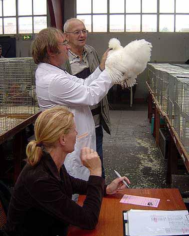 Trotse eigenaars, topdieren en in het oog lopende fokprestaties DEEL 1 ZIJDEHOENDAG 1 september 2007 in Barneveld Tekst en foto s