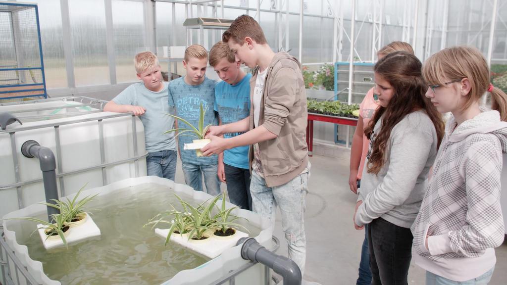 Het Groene Lyceum In 6 jaar (of 5 als je heel snel bent) twee dimploma s. Een gl/tl diploma en een mbo 4 diploma! Je kunt dan door naar bijna alle hboopleidingen, of gaat werken.