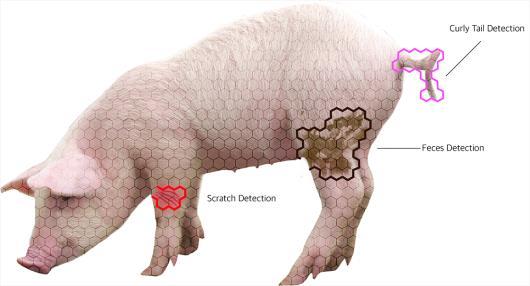 Resilience Creating Resilience in Pigs Through Artificial Intelligence (CuRly Pig
