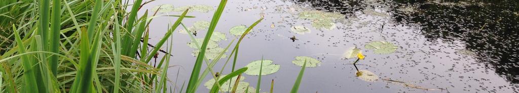 Specken Bioloog Bastiaan Beentjes Adviseur waterbeheer John Bakker Watersysteembestuurder Gijs van der Linden