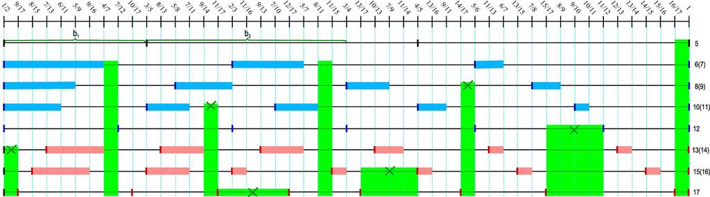 figuur 16, schema N=17