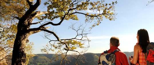 Actieve ontspanning Ingebed in het heuvelige landschap van de Schwäbische Alb biedt