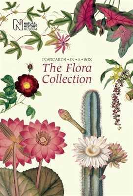 Levertijd: 24H Recht van retour: 18 Flora collection: 50