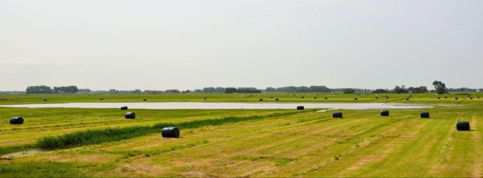 Ruimtelijke perspectieven voor Laag Holland Hoe kan een nieuwe kijk op