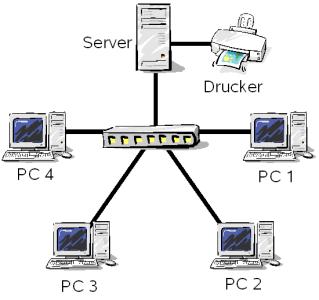 Local Area Networks (LANs) Kleine geografisch