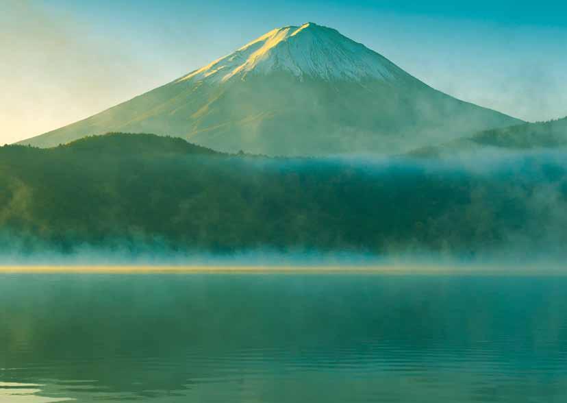 is ontleend aan de berg Fuji (mount Fuji). Deze berg ligt ten westen van Tokio en bij helder zicht is deze berg te zien vanuit Tokio.