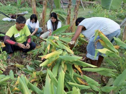 Sylvia Enriquez biologische landbouw projecten, ecologie in leerprogramma s van opleidingen en universiteiten, radio programma s en retraite centra.