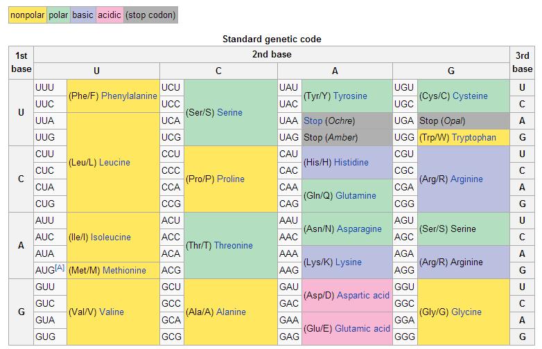 Bijlage 1 Primers voor Solanum Primers voor Solanum. Locus repeat Primer Tm* Tm Alleles size Genbankno R1WURF R1 locus (WUR) CAACCCTGGCATGCCACG 56.9?? R1WURR R1 locus (WUR) CACTCGTGACATATCCTCACT 52.9?? R3aF R3a locus TGGAAGTAGTAGTGCCGACAA 54.