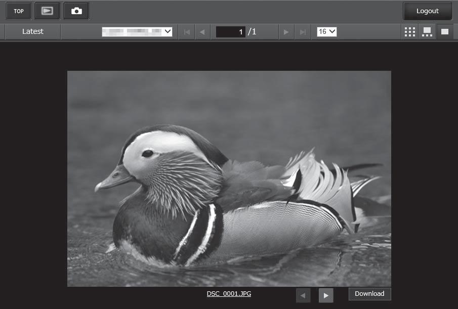 smart device Miniaturen (klik of tik om te selecteren) Schermvullende weergave Bekijk foto s in volledig