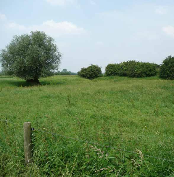 Dorpspand nr. 26 Dit pand maakt, samen met o.a. nr. 31, onderdeel uit van de groep historische dorpspanden die samen met de kerk het karakter van de oude dorpskern van Wilp bepalen.