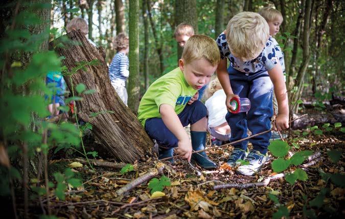 EEN DAG IN HET VINNE We wandelen rondom het Vinnemeer. Onderweg zoeken we naar kriebelbeestjes, scheppen we waterdiertjes en bouwen we kampen.