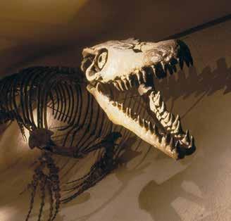 Op ontdekking in Fort Sint Pieter, op zoek naar dinosaurussen en de Mosasaurus in de grotten, of verdwalen in de Kazematten.