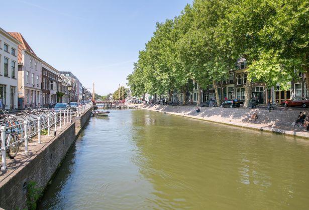 In de buurt zijn diverse leuke koffietentjes en restaurantjes, maar ook scholen en speeltuinen.