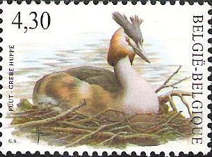 3538 - Gewone postzegels van het type "Vogels": fuut