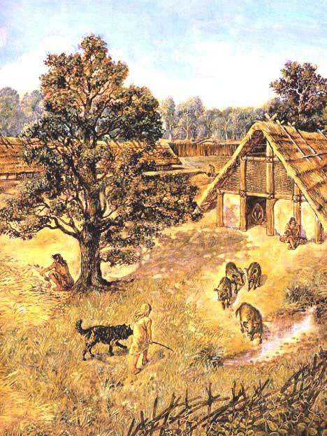 Boeren-samenleving 131 Reconstructietekening van de nederzetting van bandkeramiekers in Sittard, ca. 5000 v.chr.