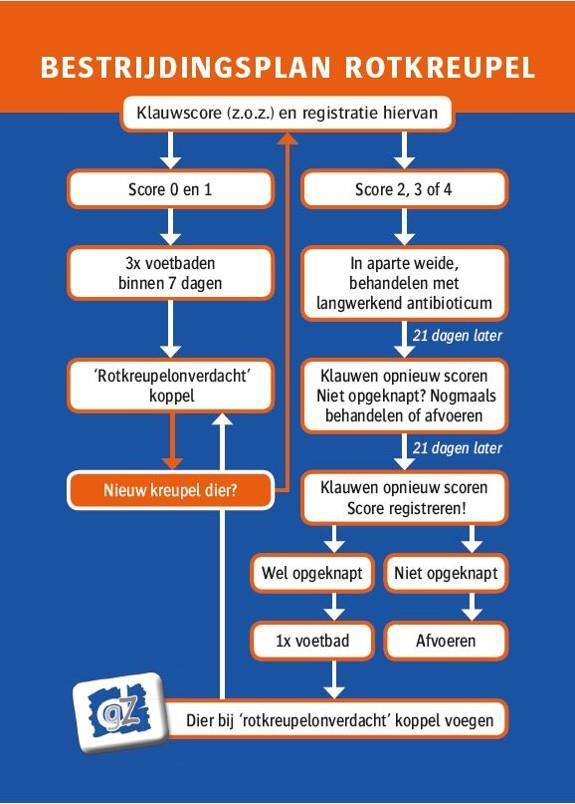 DERDE FASE Aan alle deelnemers van het project werd gevraagd om regelmatig een vragenlijst in te vullen om de situatie te kunnen opvolgen.