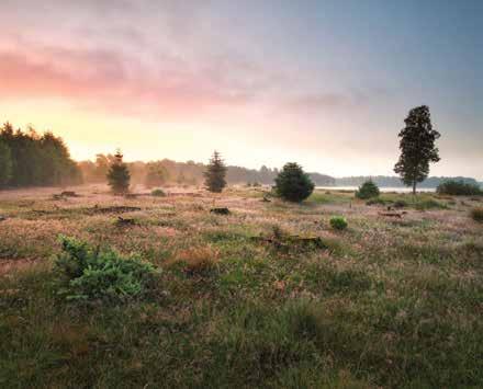 Gevangenismuseum in Veenhuizen Ellerstveld 51 km Startpunt: Sleenerzand Fietsknooppunten: 16-32 - 27-28 - 8-7 - 33-75 - 77-59 - 36-38 - 39-37 - 41 Ellertsveld is een afwisselende route tussen de