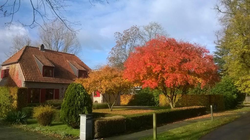 Maar ja die foto staat daar ook mooi. Dus Maar er is meer: op blz. 3 staat iets van een kleuterjuf Ken je haar?