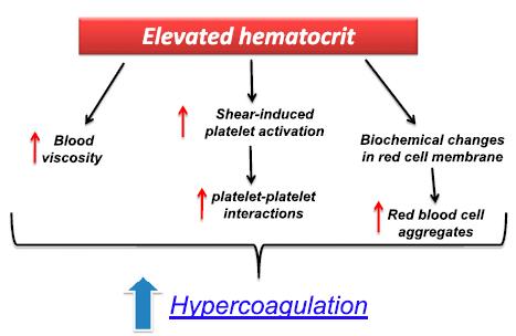 Trombose in PV en ET Trombocyten: Geen correlatie met hoogte van trombocyten en risico op trombose Meer tissue factor op