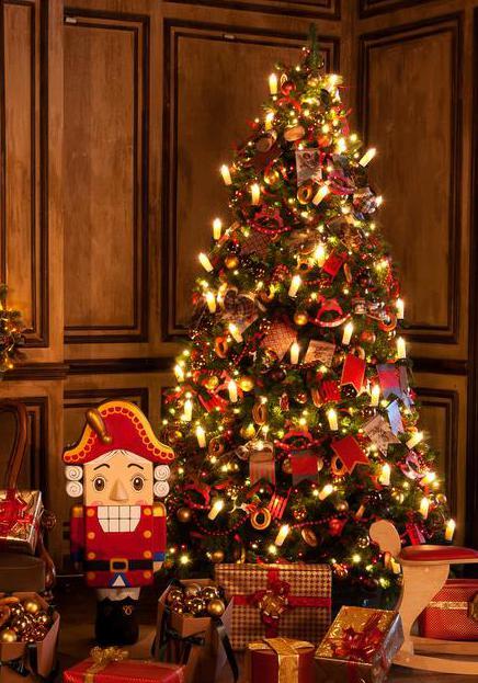 Beste gast, Een witte kerst of niet, de eindejaarsperiode blijft de gezelligste tijd van het jaar. En die viert u natuurlijk het liefst samen met uw vrienden en familie.
