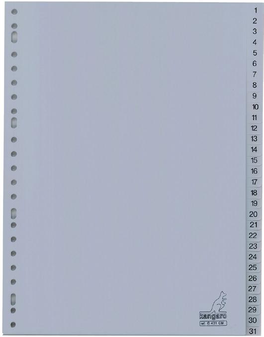 onderverdelingen Zonder voorblad Din A4 ft. - 297 hoog x 233 mm breed 2 / 4 / 23 gaats perforatie ESS - 100112 per st 1.