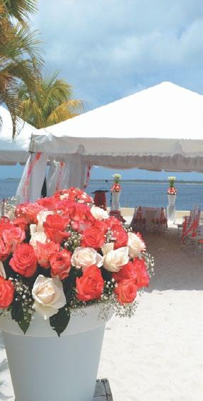 Romantiek & Bruiloften De natuurlijke romantische kant van Bonaire Of u nu uw relatie wilt versterken of een belangrijke dag wilt vieren, Bonaire is de perfecte setting!
