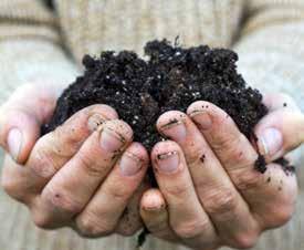 COMPOST TE KOOP Compost is de bodemverbeteraar bij uitstek. Het verbetert de structuur van je grond en geeft planten veel voedingsstoffen.