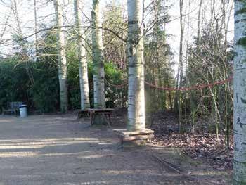 v.t. Touwparcours Stamplateau Touwparcours met plateau s rondom boomstammen. Natuurlijk spelen - Klimmen - Balanceren Touwparcours met vierkante plateau s rondom bestaande bomen.