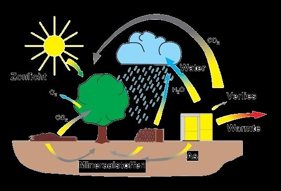 Ofwel als wij hout gebruiken voor verwarming, groeit er ergens buiten al weer een nieuwe boom. De hele stofwisseling is in balans met de natuur.