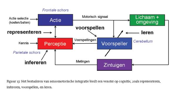 Buikspreken, tv kijken, jezelf kietelen Je kunt niet jezelf