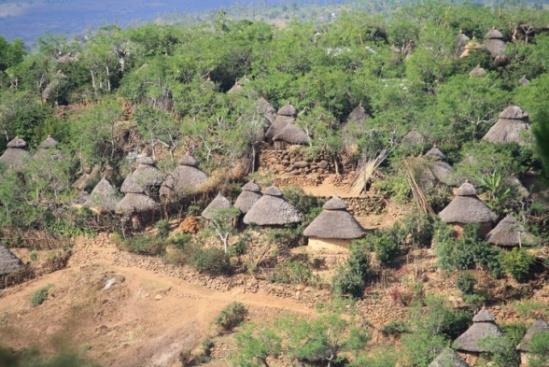 Onderzoekscentrum. We bezoeken vandaag ook nog een dorpje van de Dorze: deze stam leeft in enorme grote hutten in de vorm van een olifantenhoofd.