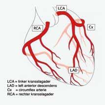 Coronaire ziekte en coronaire overbruggingsoperatie De hartspier zelf heeft voor een goede werking ook zuurstof en voedingsstoffen nodig, en die worden geleverd door een eigen bloedvatennetwerk in en