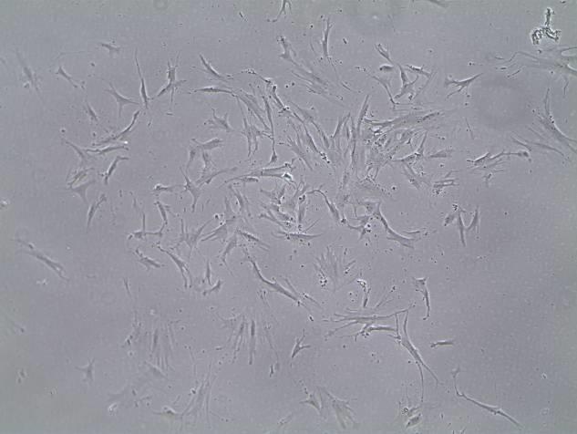 Methode kweken