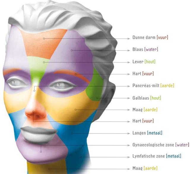 afgebroken Oplossing Lever ondersteunen met Groene groenten Kolen, uien, look B- vitamines