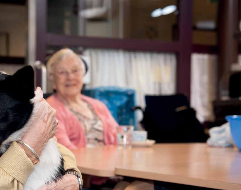 verpleeghuis; er wonen mensen met een lichamelijke beperking (somatiek) en met dementie (psychogeriatrie). Aan hen biedt Het Spectrum 24 uur per dag zorg.