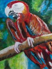 Papagaai. 30 40 achter glas ingelijst. (5615) Ankie Boelens: Sinds enkele maanden volg ik lessen bij Jolanda van Hattum. Dit is mijn 2de schilderij die ik heb gemaakt.