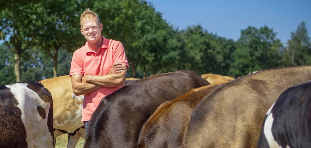 CROSSFIT MEER WERKPLEZIER MET EEN KRUISING Toen Thijs Arendsen in 2008 met zijn vrouw Vera in het melkveebedrijf van zijn schoonouders stapte, bestond de veestapel uit roodbonte koeien, met Kian,