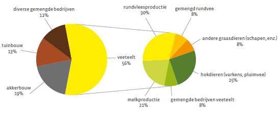 Aandeel gemengde bedrijven in Vlaanderen (2011) Jeroen Buysse