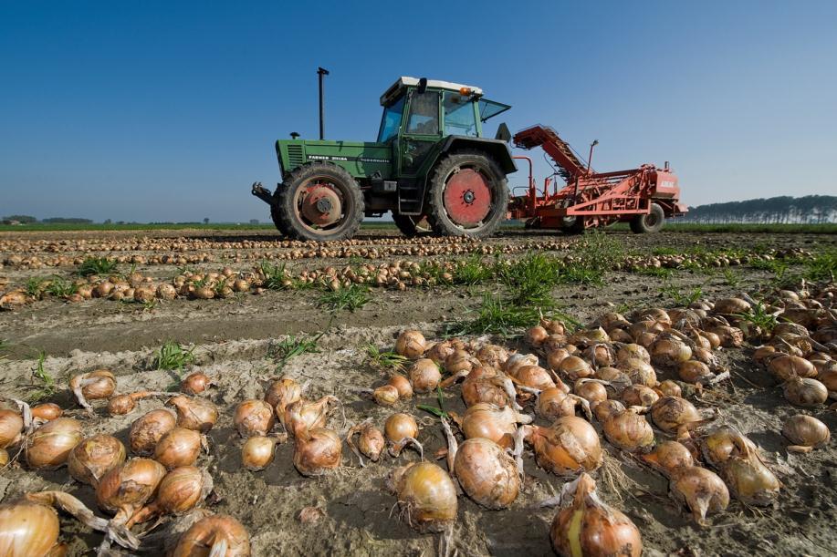 Themadag vakgroep landbouw euregio scheldemond 29-11-2013