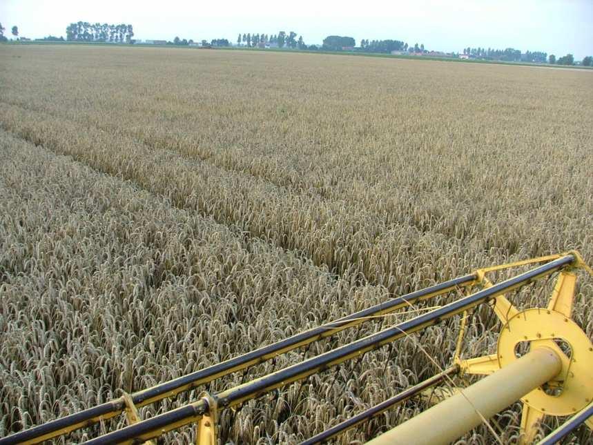 Duurzame landbouw en leefbaar platteland