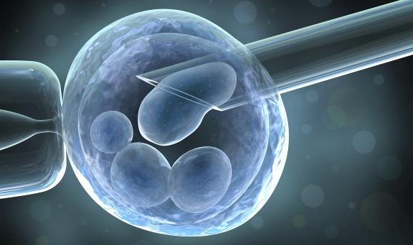 Embryoselectie