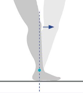 pre = voor, tibia = scheenbeen): voor het scheenbeen liggend. Pronatie Pronatie (Lat.