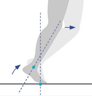 Spieren die deze beweging veroorzaken, worden als pronatoren aangeduid. Push off Afduwen van de tenen van de grond in pre swing, daardoor versnelling van het been in de voorwaartse beweging.