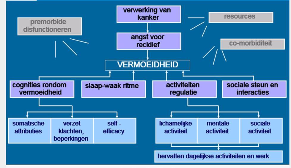 Model energie Opleiding oncologie