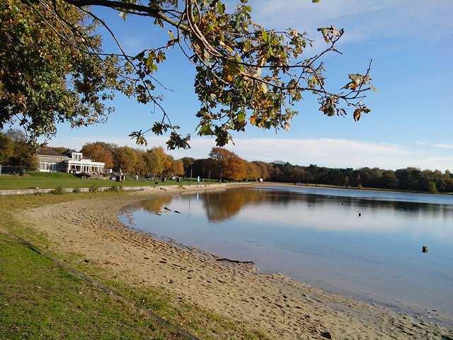 ATVN haar najaarswandeling aan de Geffense Plas bij Oss.