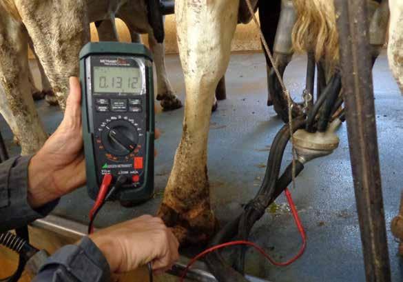 #02 WAT ZIJN ZWERFSTROMEN? Een melkinstallatie bevat talloze elektrische apparaten en dus ook elektrische geleiders. In perfecte omstandigheden vloeit er enkel stroom door deze geïsoleerde geleiders.