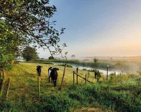 woningen Natuurlijk wonen